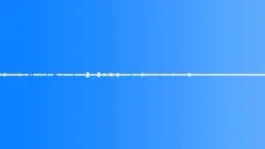 Crows Light Traffic Wind Ambient Sound Effect