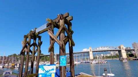 Crows on marina Stock Footage 137456770