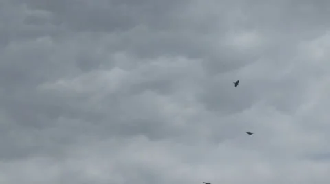 Crows in the mountains, flag Stockbeeldmateriaal 51855440