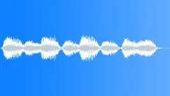 Crows multiple caw 04 Sound Effect