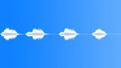 Crows multiple caw 05Sound Effect