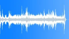 Crows Stock Music