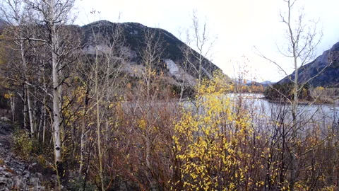 Crow's Nest pass and Island Lake in the Alberta Rockies, Stock Footage 294259967