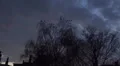 Crows night on tree at a cloudy evening autumn day HD Footage