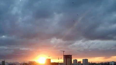 Crows over sunset town Stock Footage 80602629