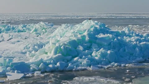 Crows Perch On Baltic Sea Ice Ridges At Tuja Beach During Early Spring Stock Footage 340820852
