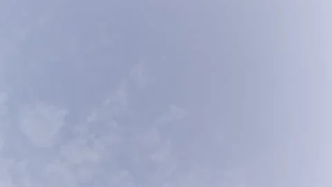 Crows Ravens flying in the sky Stock Footage 239096876