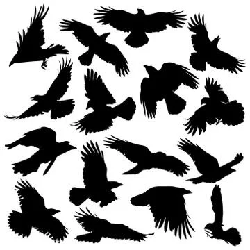 Crows silhouette set Stock Illustration