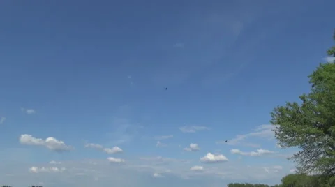 Crows in the sky, the rays 스톡 동영상 50019958