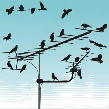 Crows on television aerials Illustrazione stock