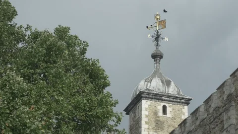 Crows on Tower of London. 4K Stock Footage 86744068