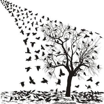 Crows on a tree in winter Stock Illustration