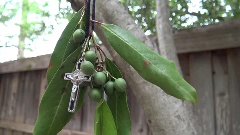 Crucifix swaying in the wind in a tree limb Stock Footage 75726603