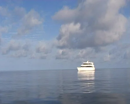 Cruise boat  Stock Footage 401072