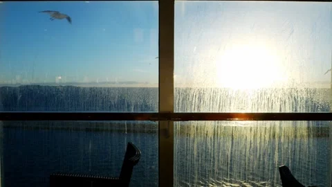 Cruise deck window on a windy day with seagulls flying close by Stock Footage 258356499