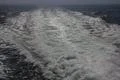 Cruise the Sea 1723.JPG Photo