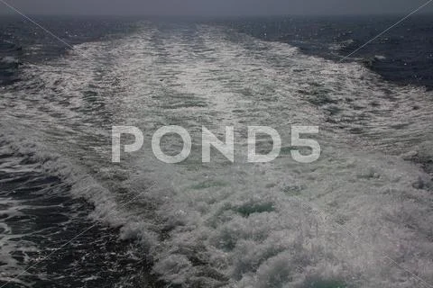 Cruise the Sea 1723.JPG Stock Photos