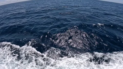 Cruise ship and the waves Video stock 345826862