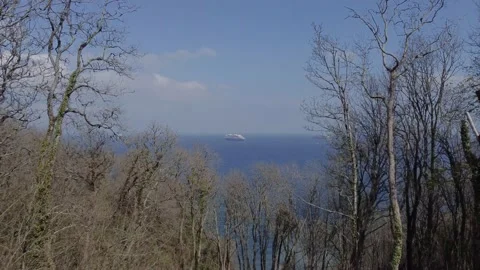 Cruise Ship Through The Treetops Stock Footage 152817063