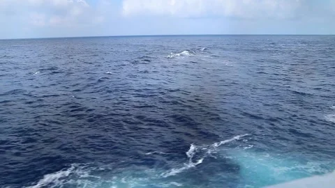 Cruise Window Stock Footage 236272966