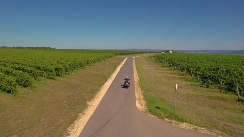 Cruiser Motorcycle ride between corn fields aerial 4k 動画素材 249942599