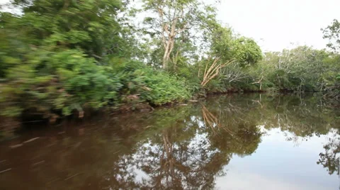 Cruising along a river Stock Footage 35742256