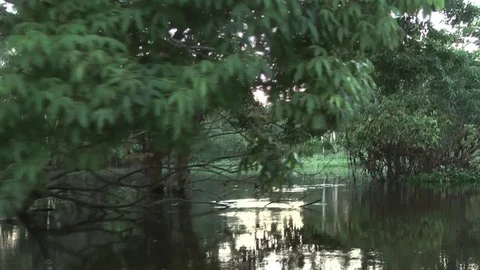 Cruising on a canoe on the Amazon river Stock Footage 72232796