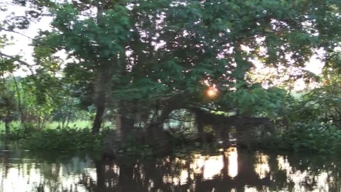 Cruising on a canoe on the Amazon river Stock Footage 72233672