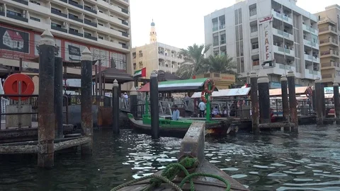 Cruising the Creek Stock Footage 71476703