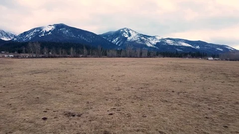 Cruising down a empty pasture toward tree line with snow capped mountains Stock Footage 125050624