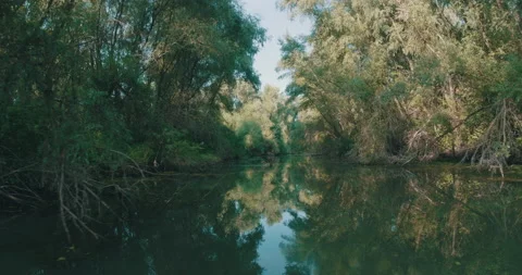 Cruising on a Jungle River Stock Footage 161915559