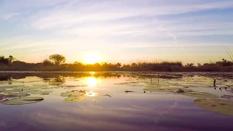 Cruising The Okavango Delta - Botswana Stock Footage 70889049