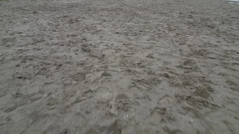 Cruising over the sandy shore by the side of Surfplas manmade lake in Holland Stock Footage 260602722