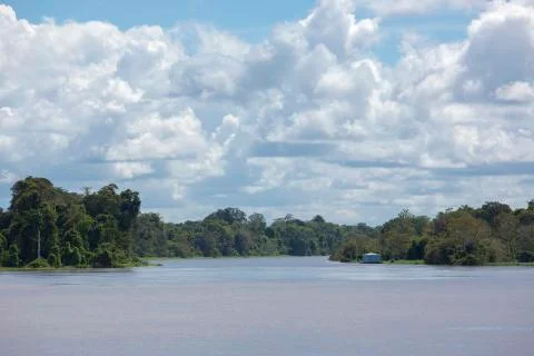 Cruising on the river the Amazon, in the rain forest, Brazil Stock Photos