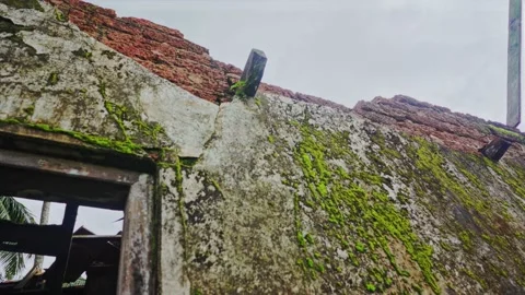 A crumbling old building, The wall started to crumble , Full of moss and Vídeos de archivo 219635748