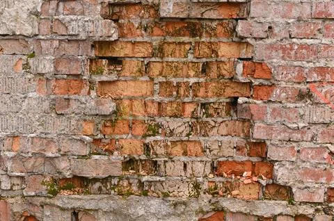 Crumbling red bricks of an old wall. Stock Photos