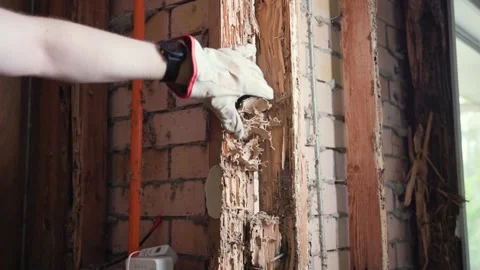 Crumbling a termite ridden wall by hand after a devastating infestation. Stock Footage 333289927