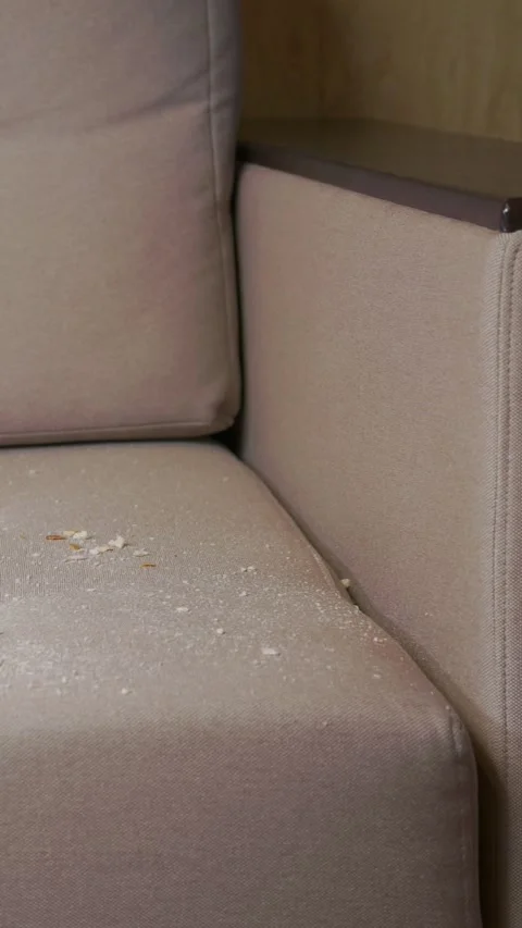 Crumbs on the sofa Video stock 321882654