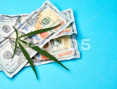 Crumpled banknotes of american dollars and green leaf of hemp on a blue backg Stock Photos