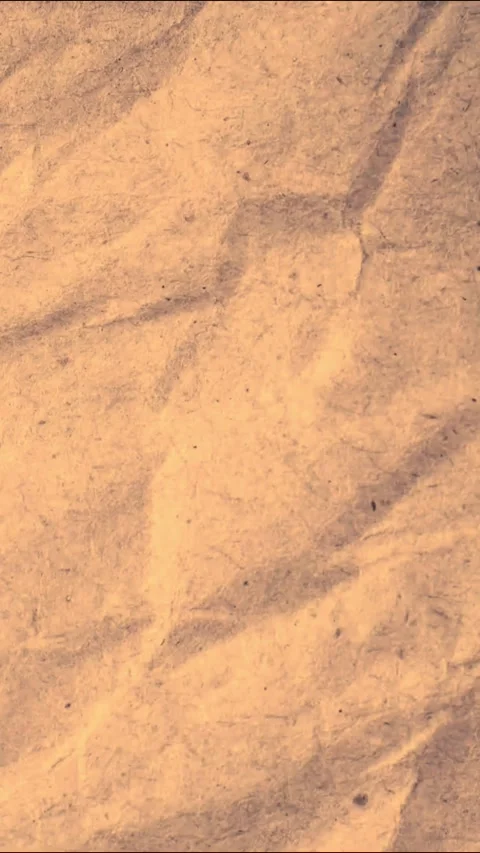 Crumpled brown paper Loop Animation Stock Footage 340501724