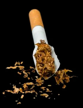 Crumpled cigarette Stock Photos