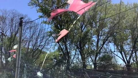 Crumpled flags in the wind Stock Footage 256323153