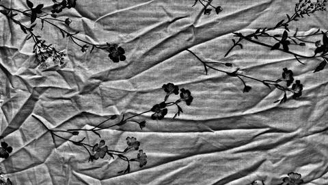 Crumpled linen fabric texture features delicate black floral pattern in minim Fotos de archivo