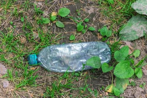 Crumpled plastic bottle lying on the ground in the forest Stock Photos