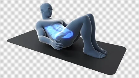 Crunch Ankle Touch Workout Stock Footage 168289017