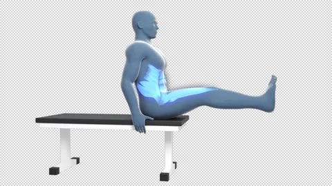 Crunch On Flat Bench Workout 스톡 동영상 167502531