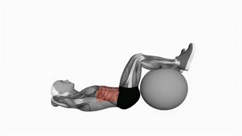 Crunch legs on stability ball fitness exercise workout animation video male mus 動画素材 229458564