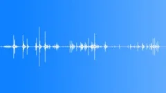 Crunching TwigsSound Effect