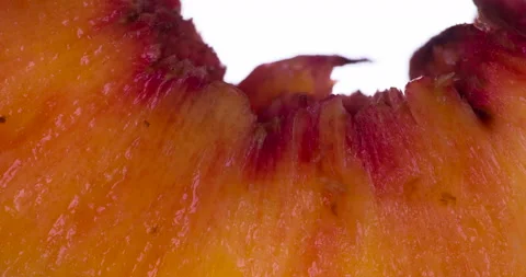Crush a Fragrant Slice of Peach 4K Stock Footage 96875312