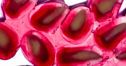 Crush a Lot of Garnet Fruit 4K Stock Footage 96352731